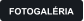 FOTOGAL�RIA